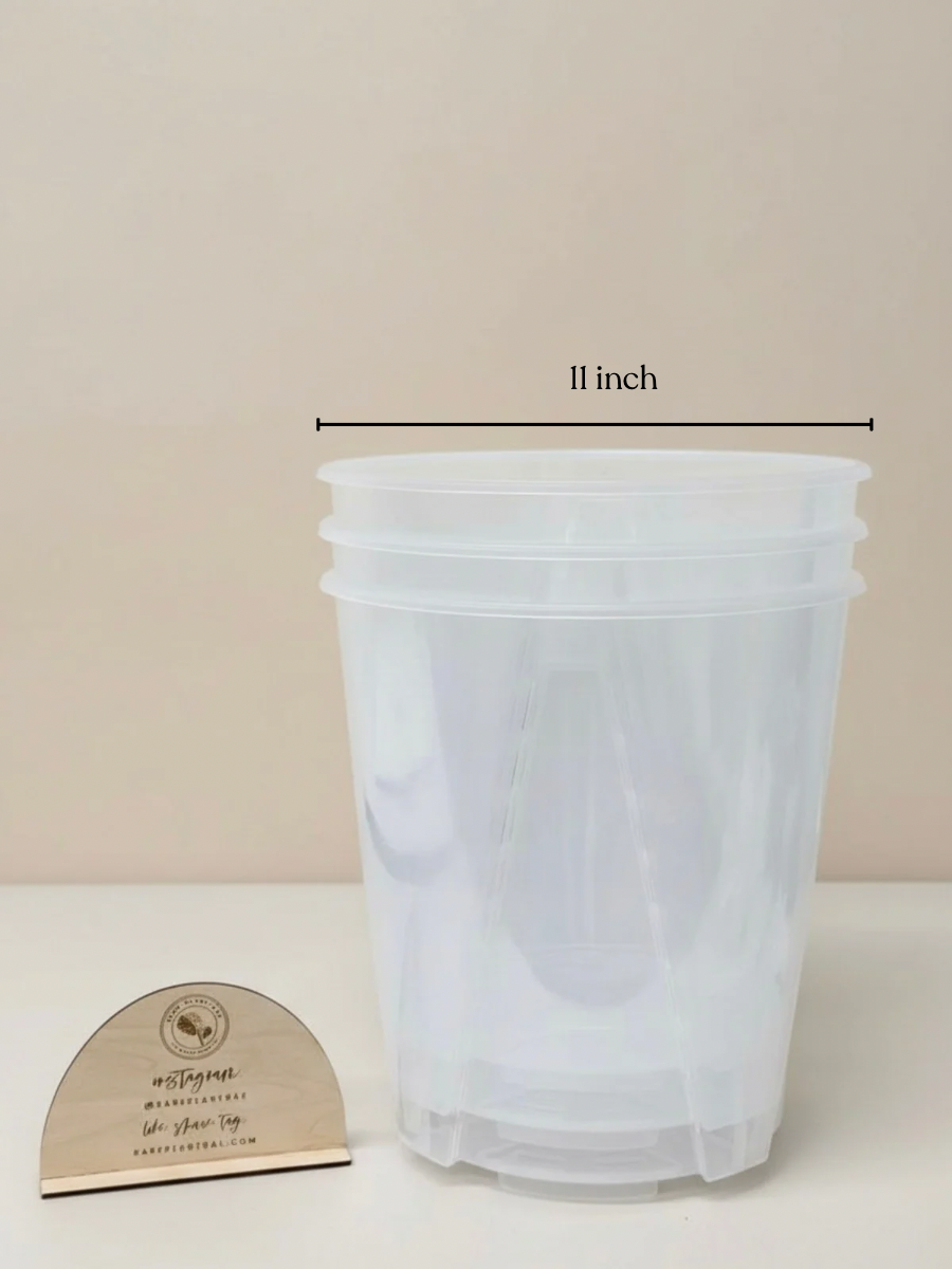 XXL Clear Planter Pots (up to 11-inch) (Set of 3)