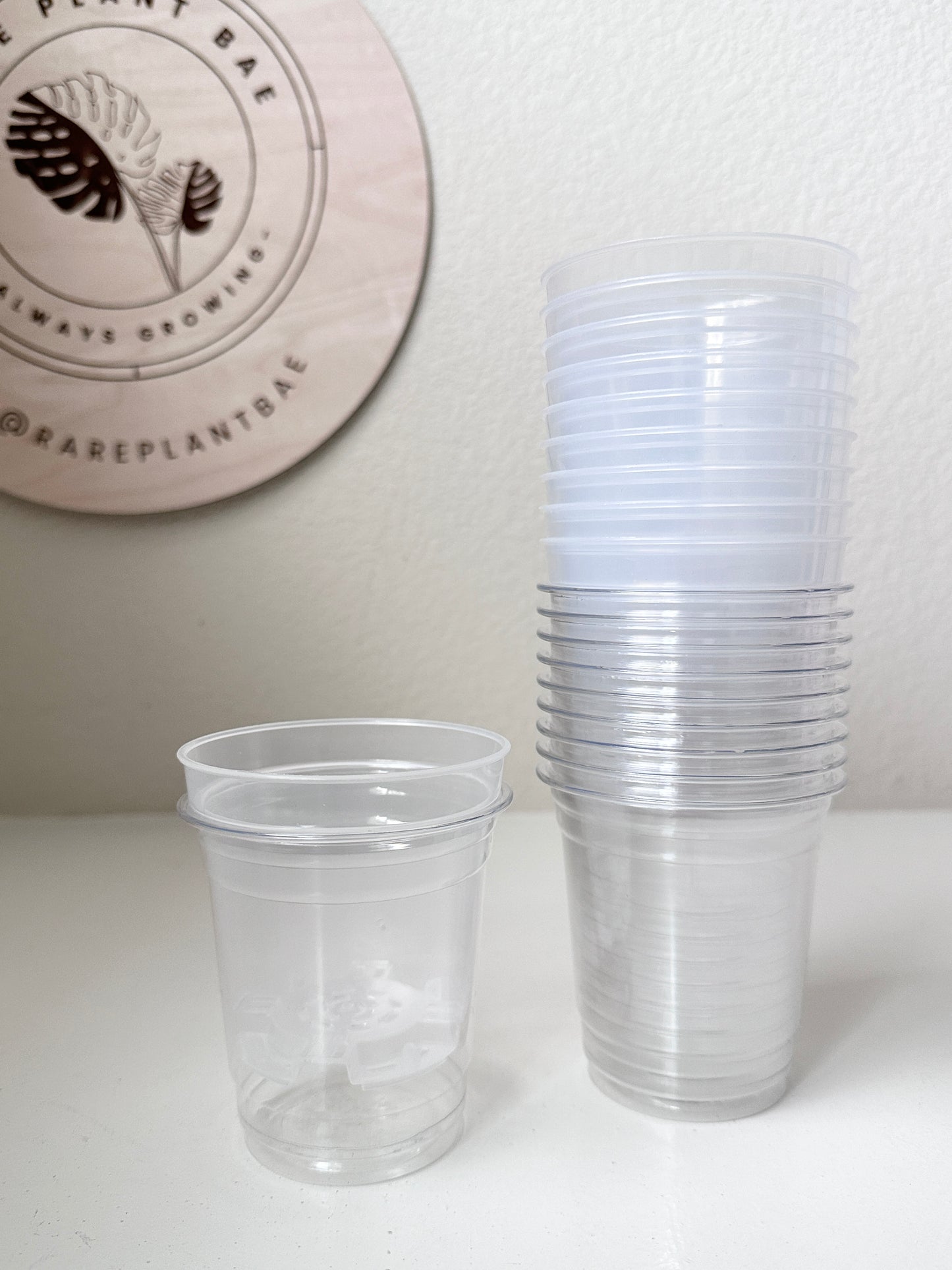 3-inch Matching Clear Pot (Set of 10) (pre-order)