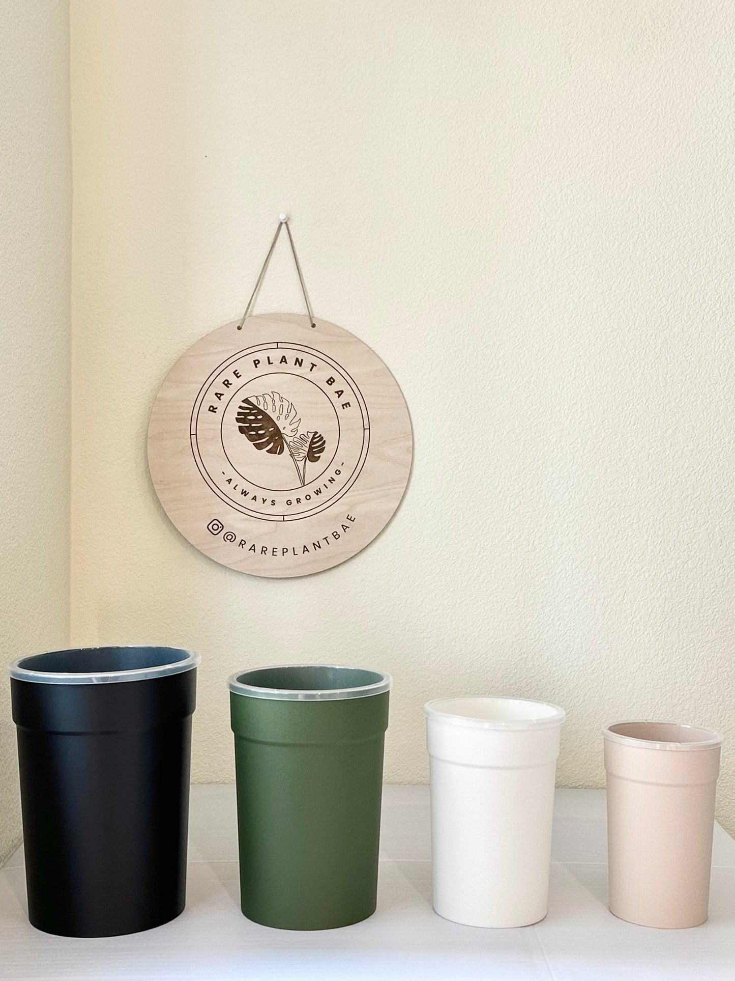 Matching Self Watering Pot (4-inch & up)