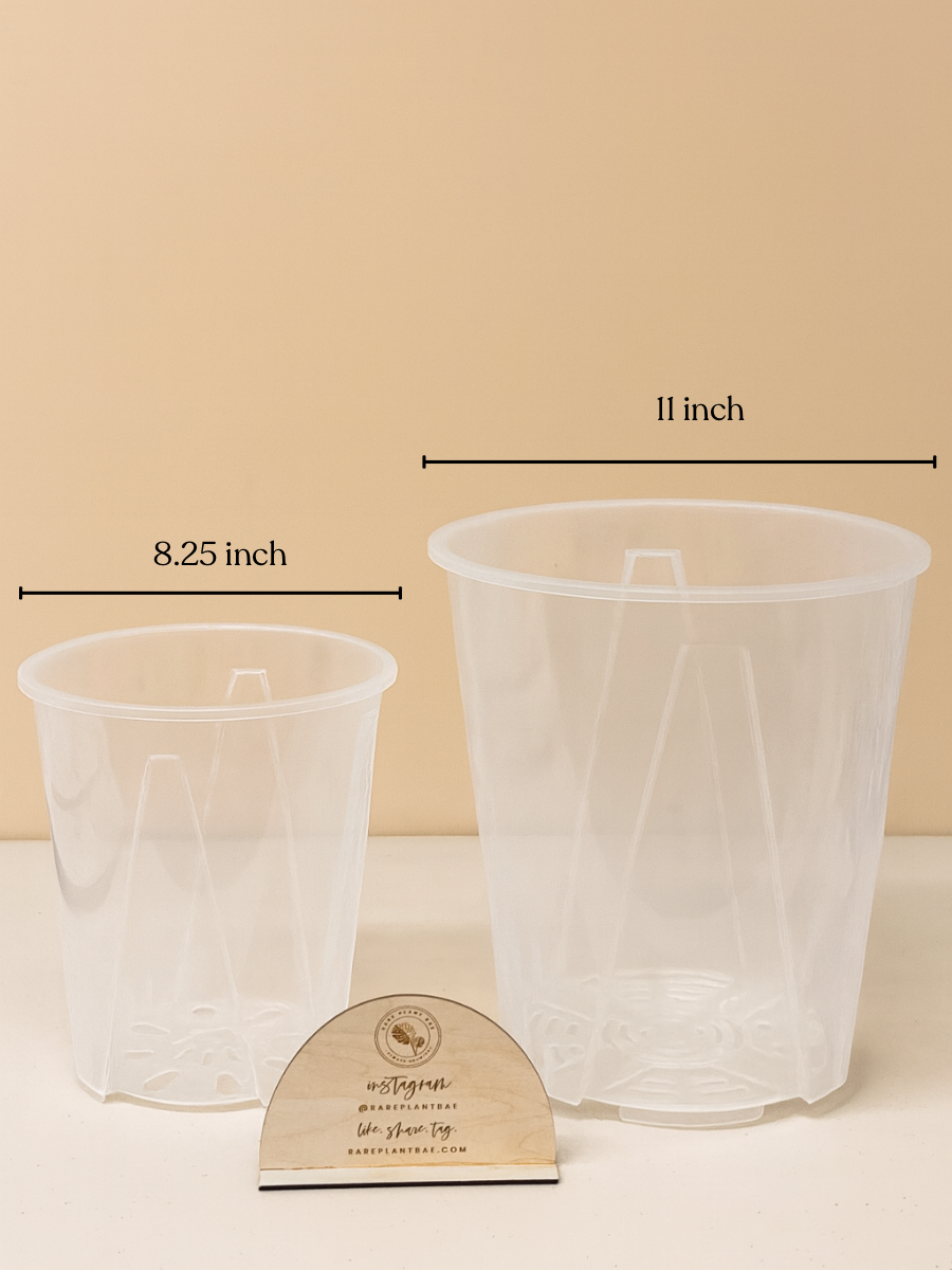 XXL Clear Planter Pots (up to 11-inch) (Set of 3) – Rare Plant Bae