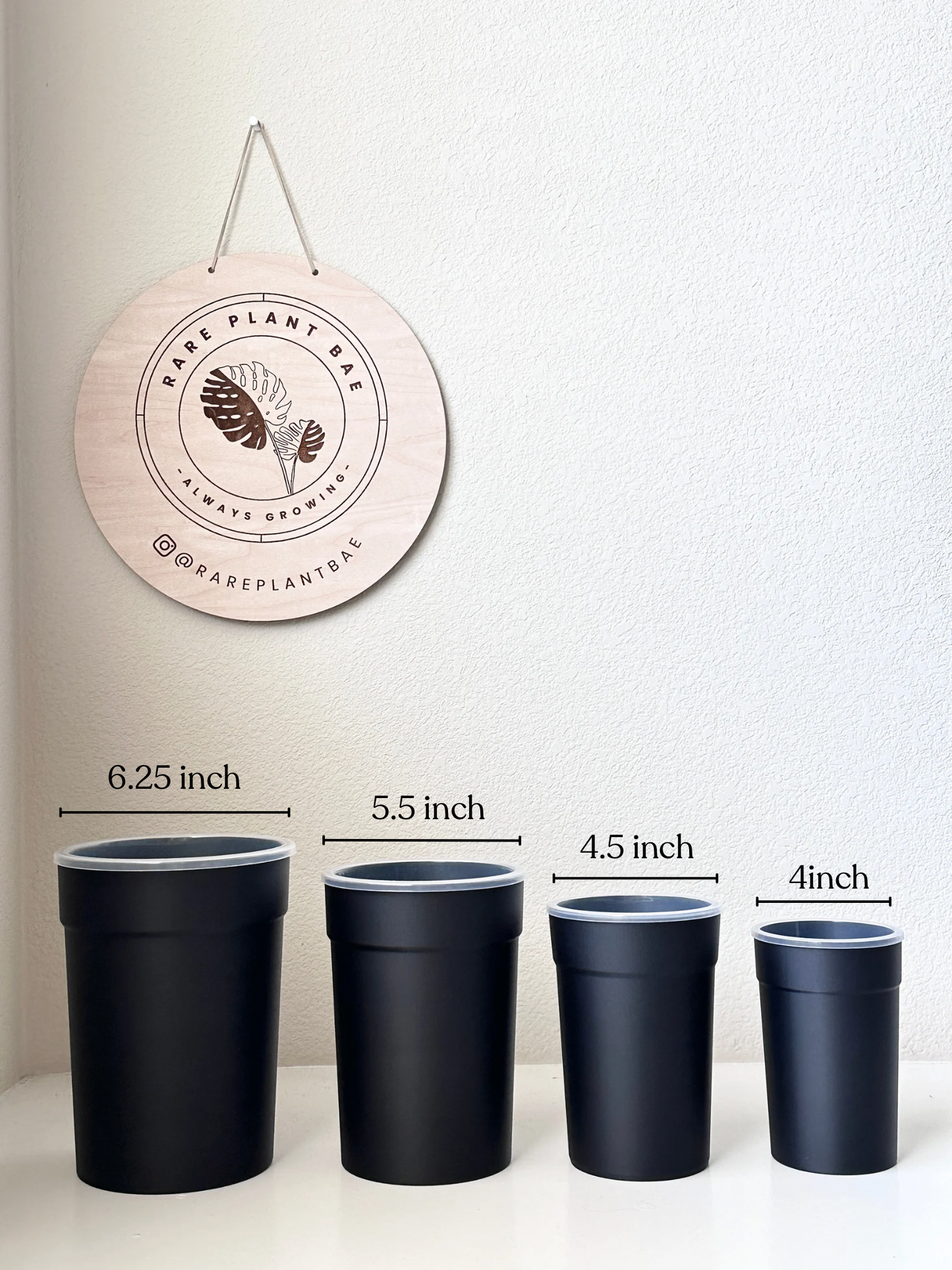 Matching Self Watering Pot (4-inch & up) (pre-order)