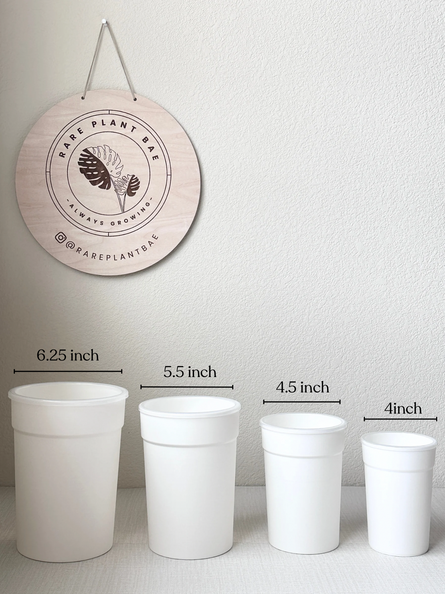 Matching Self Watering Pot (4-inch & up) (pre-order)