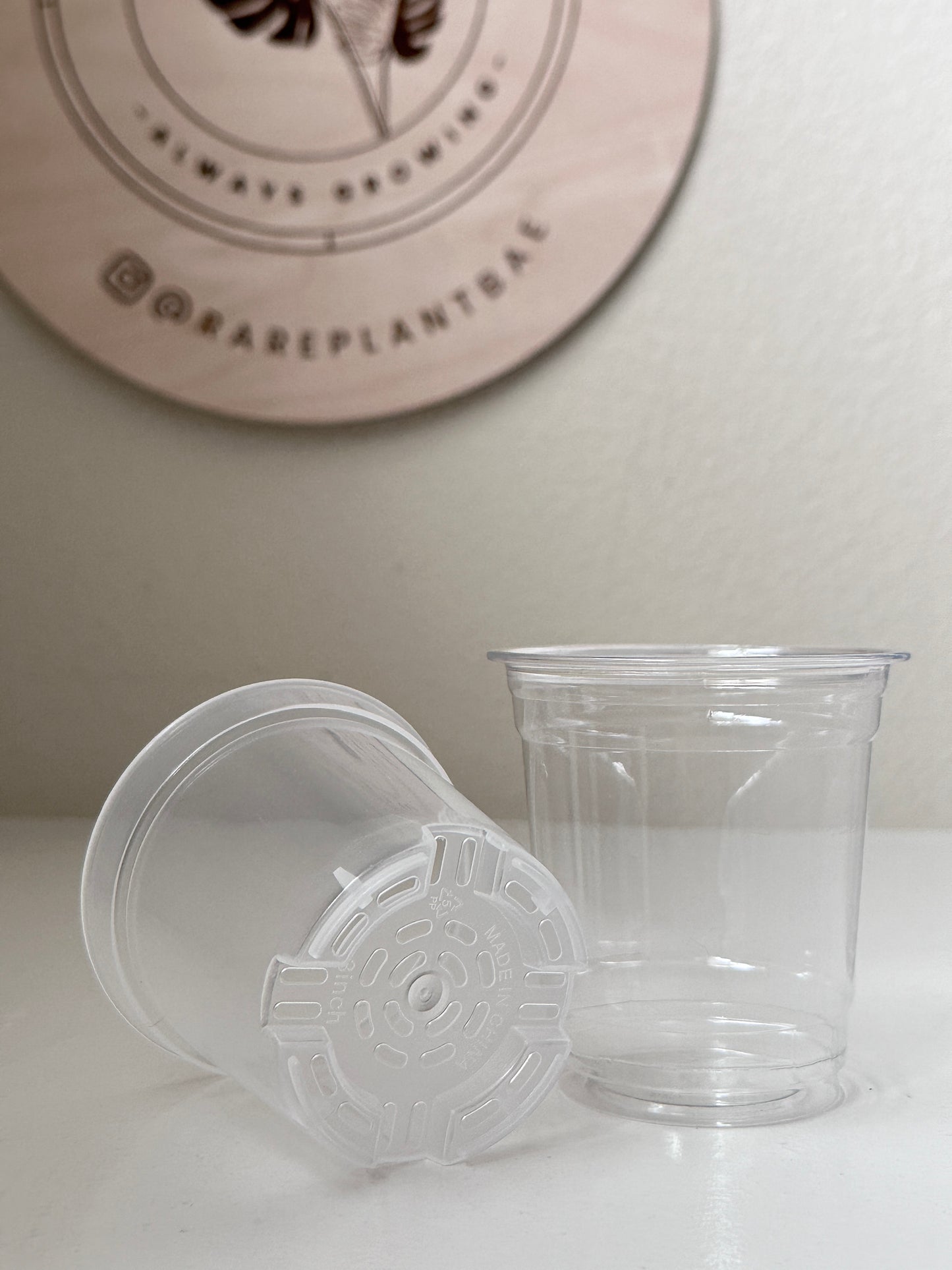 3-inch Matching Clear Pot (Set of 10) (pre-order)