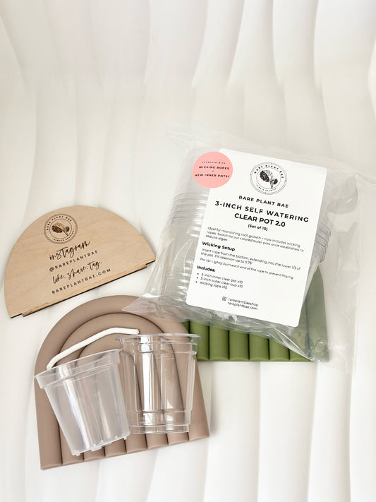 UPGRADED! Clear Self Watering Pot (3-inch) (Set of 10)