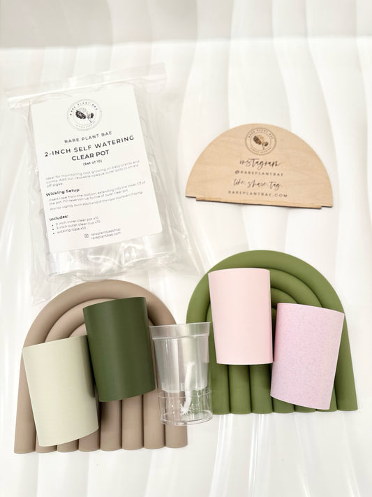 NEW! Matching Self Watering Pot (2-inch)