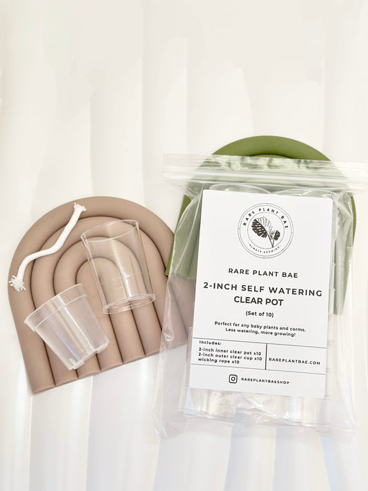 2-inch Self-watering Clear Pot (Set of 10) (pre-order)