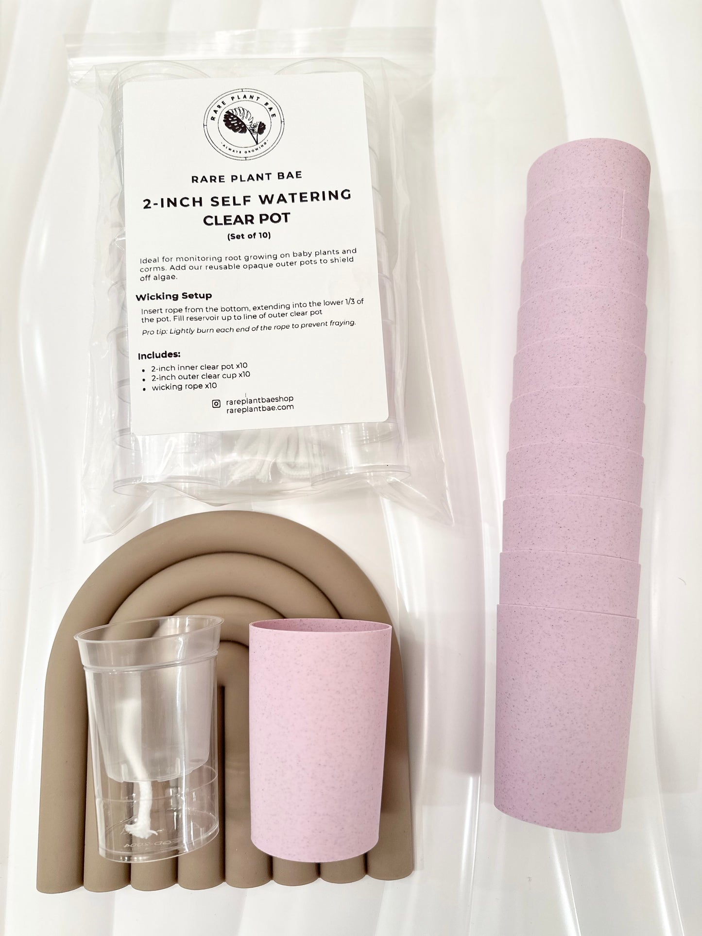 NEW! Matching Self Watering Pot (2-inch)