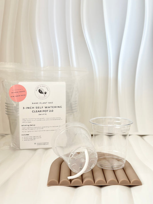 UPGRADED! Clear Self Watering Pot (3-inch) (Set of 10)