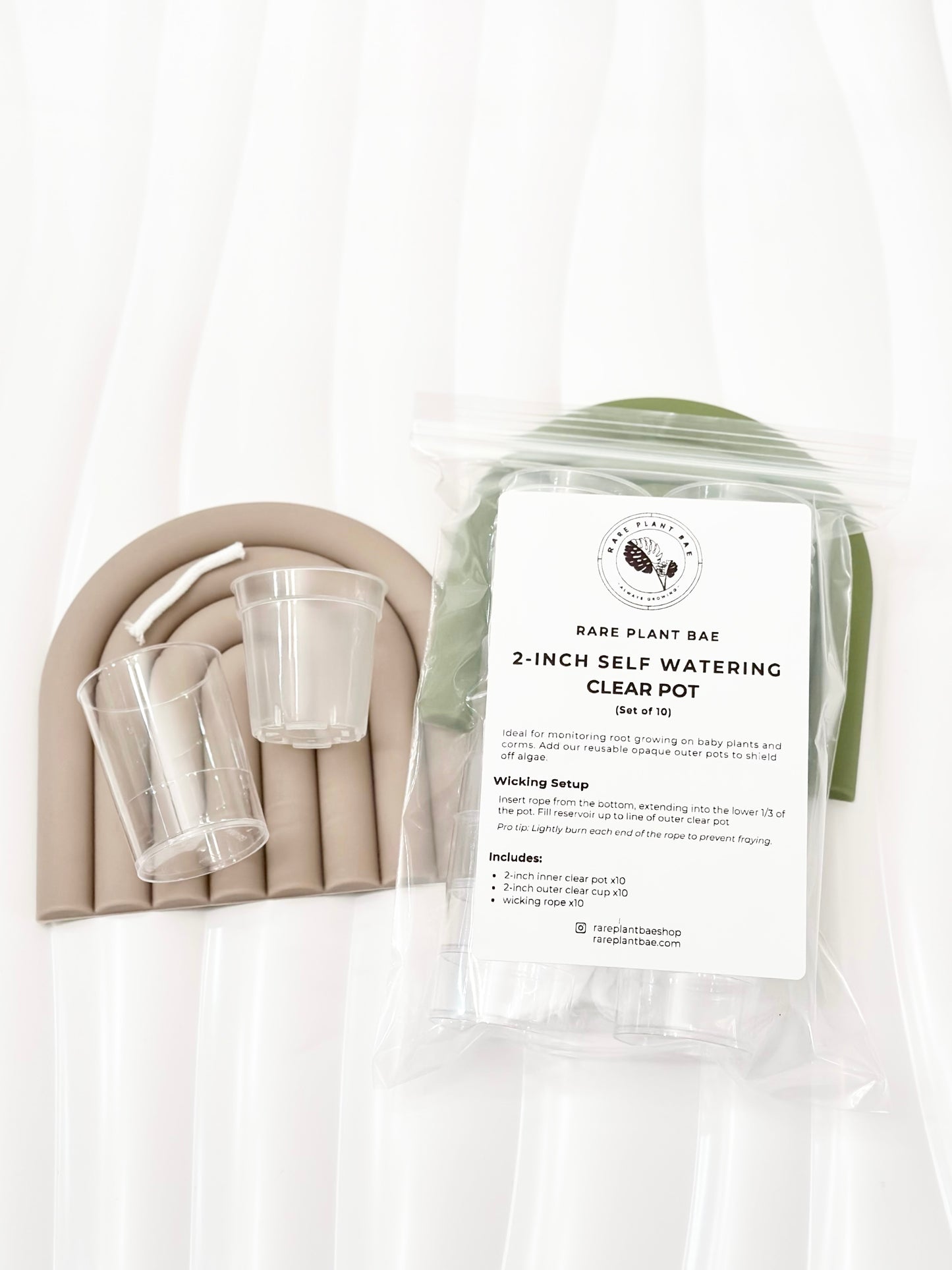 NEW! Matching Self Watering Pot (2-inch)