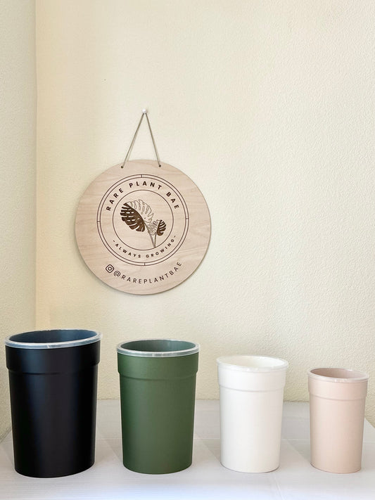 Matching Self Watering Pot (4-inch & up)