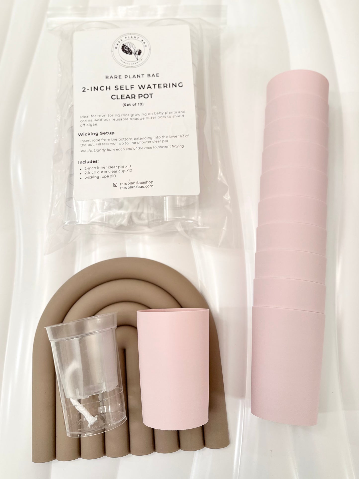 NEW! Matching Self Watering Pot (2-inch)