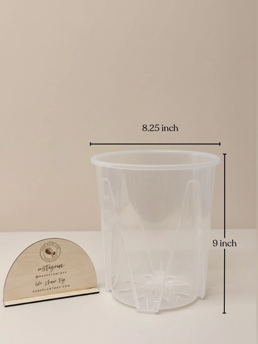 9 inch plastic plant pots XXL Clear Planter Pots (up to 11-inch) (Set of 3) – Rare Plant Bae