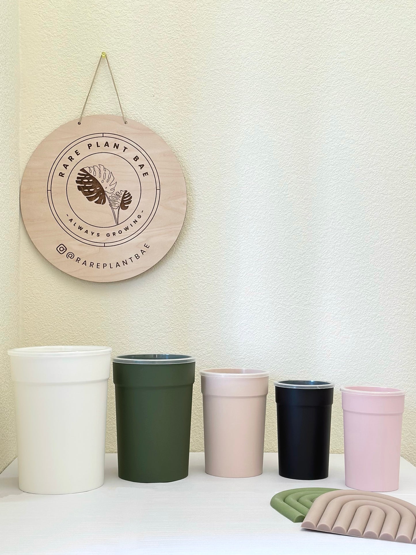 Matching Self Watering Pot (4-inch & up) (pre-order)