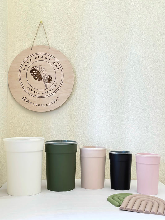 Matching Self Watering Pot (4-inch & up) (pre-order)