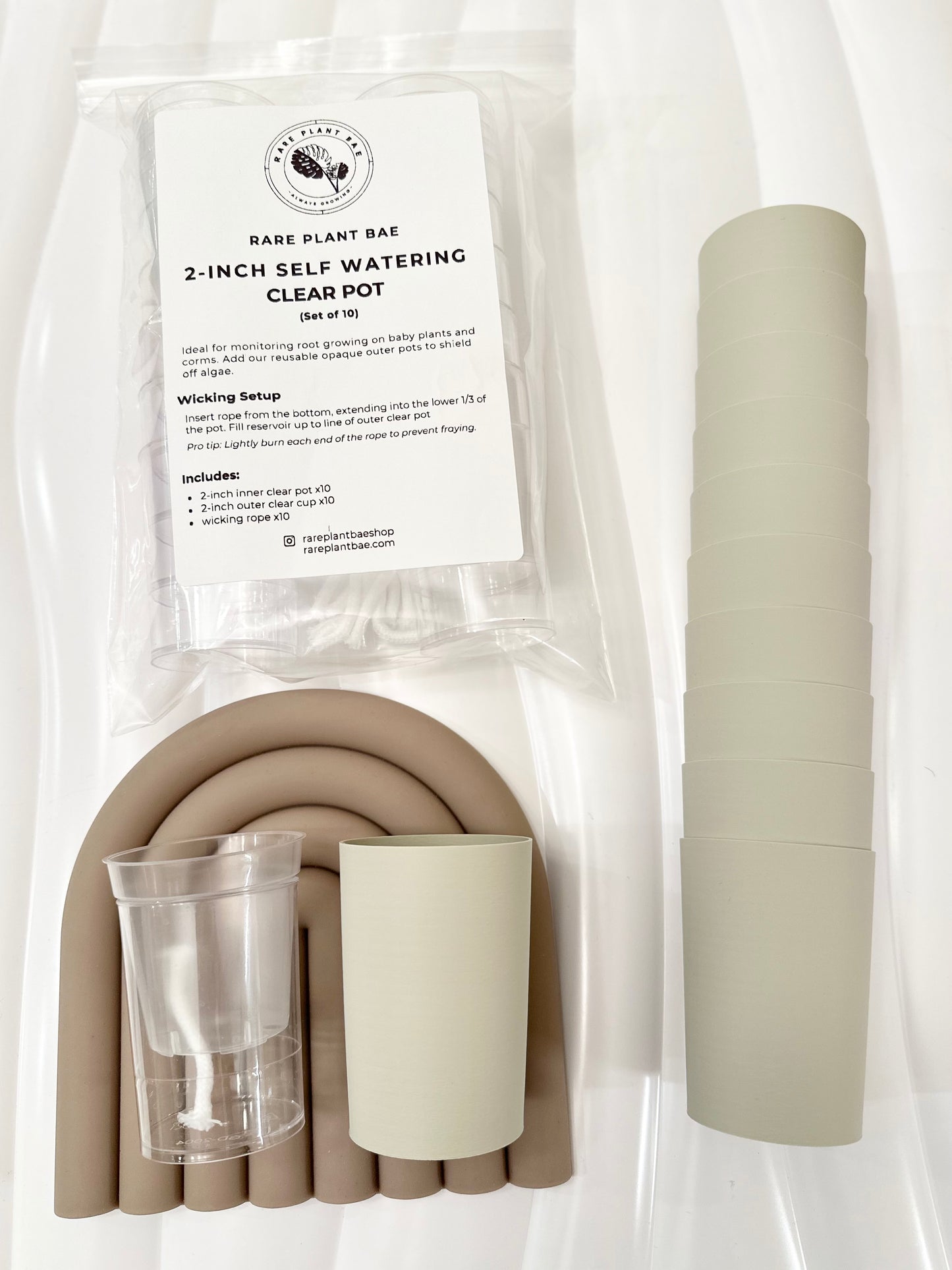 NEW! Matching Self Watering Pot (2-inch)