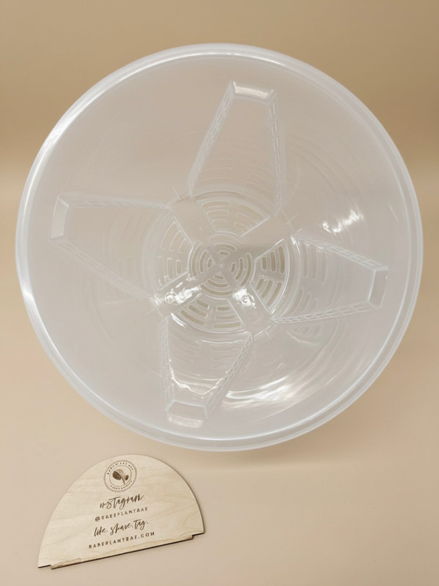 XXL Clear Planter Pots (up to 11-inch) (Set of 3)