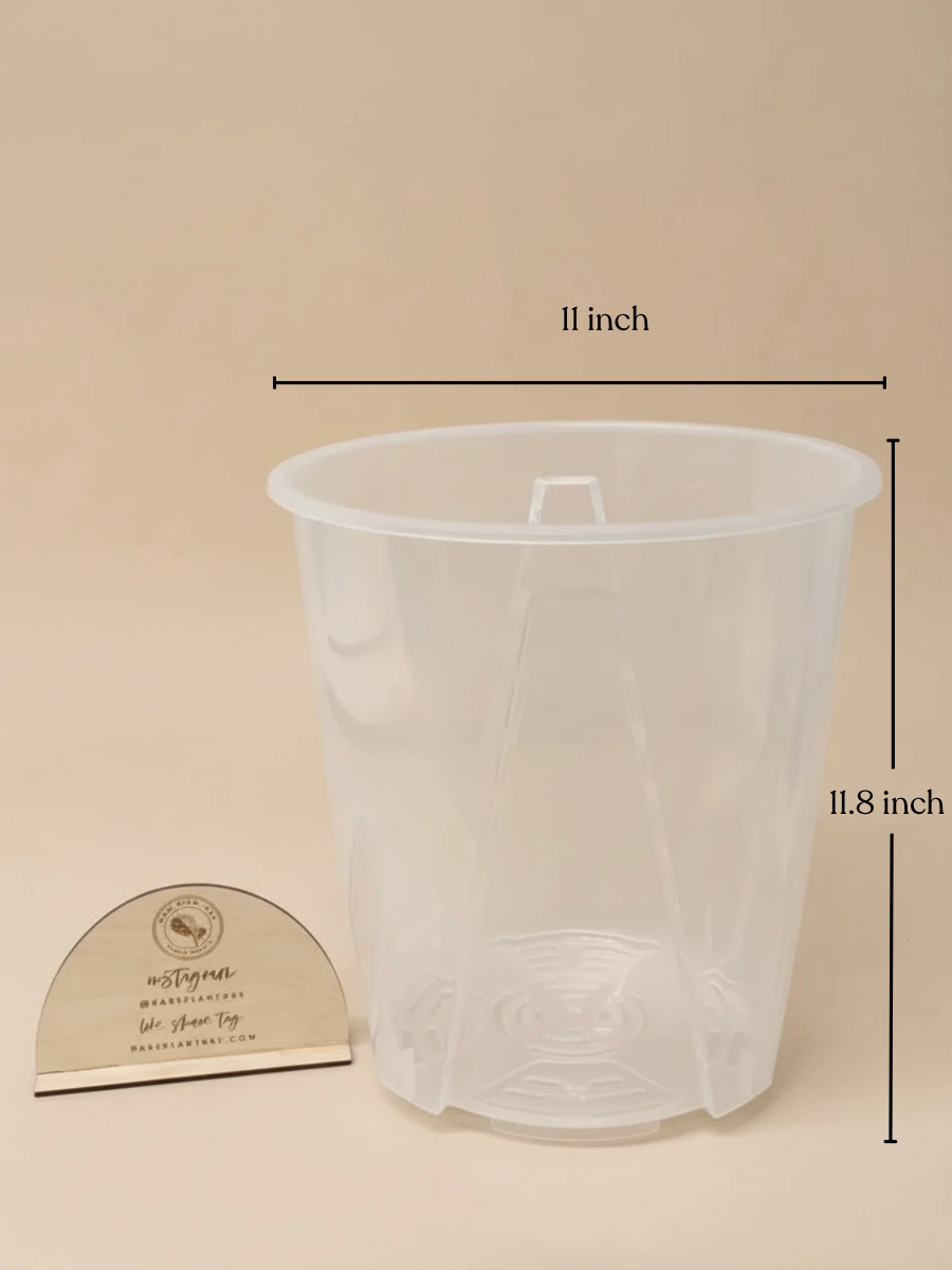 11 inch plastic plant pots XXL Clear Planter Pots (up to 11-inch) (Set of 3)